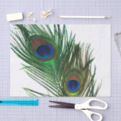 Papier Mousseline Belle plume blanche de paon (Artisanat)