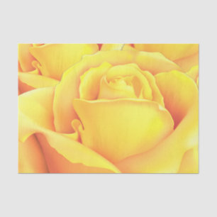 Papier Mousseline Belle Rose Jaune