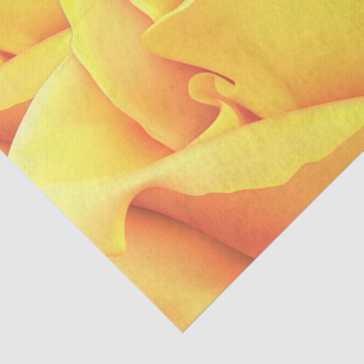 Papier Mousseline Belle Rose Jaune (Détail)