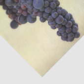 Papier Mousseline Belle vigne de raisin avec fruits pendants (Détail)
