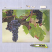 Papier Mousseline Belle vigne de raisin avec fruits pendants (Artisanat)