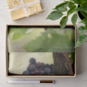 Papier Mousseline Belle vigne de raisin avec fruits pendants (Cadeau)