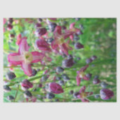 Papier Mousseline Belles ailes de fée Fleurs & Buds Papier Tissu (Recto)