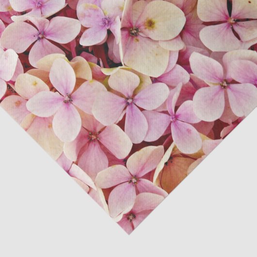 Papier Mousseline Belles fleurs d'Hydrangée (Détail)