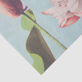 Papier Mousseline Belles impressions photomécaniques de fleurs Lotus (Détail)