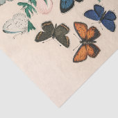 Papier Mousseline Belles papillons vintages Découpage botanique (Détail)