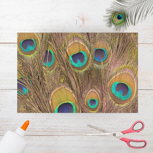 Papier Mousseline Belles plumes de paon Brown