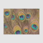 Papier Mousseline Belles plumes de paon Brown (Recto)