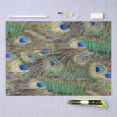 Papier Mousseline Belles plumes de paquebot (Artisanat)