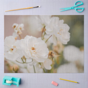 Papier Mousseline Belles roses blanches de Korbin, photographie en g