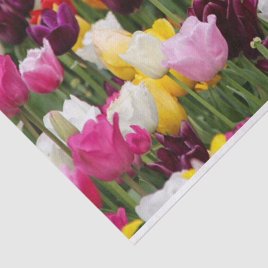 Papier Mousseline Belles tulipes (Détail)