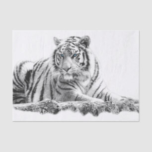 Papier Mousseline Bengal White Tiger