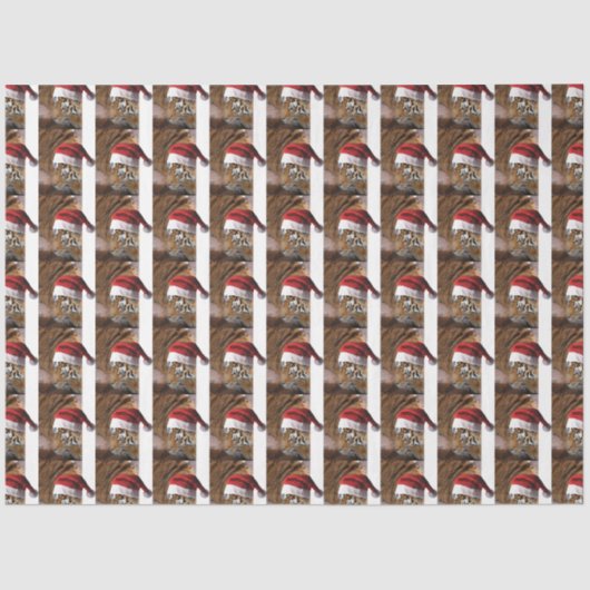 Papier Mousseline Bengale Tiger Père Noël (Recto)