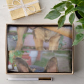 Papier Mousseline berger allemand par Shirley Taylor (Cadeau)