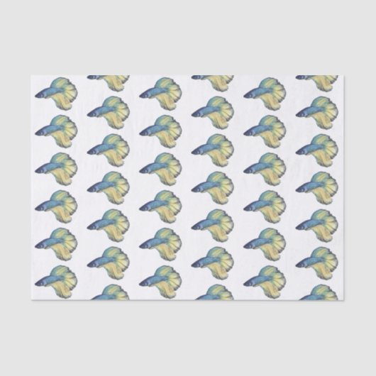 Papier Mousseline Betta fish (Recto)