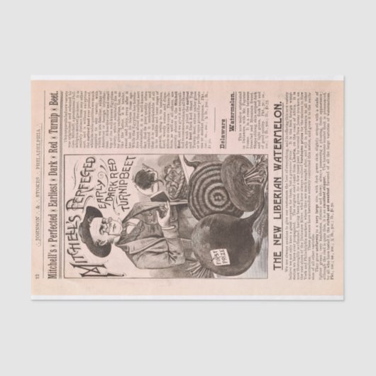 Papier Mousseline Betteraves de catalogue de ferme et papier (Recto)