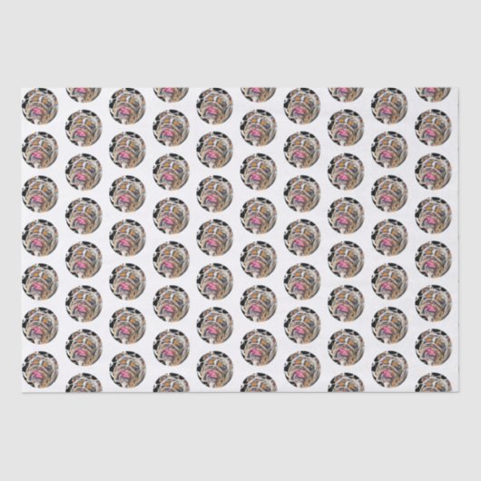 Papier Mousseline Biggie Bulldog Circles Animal Gram (Recto)