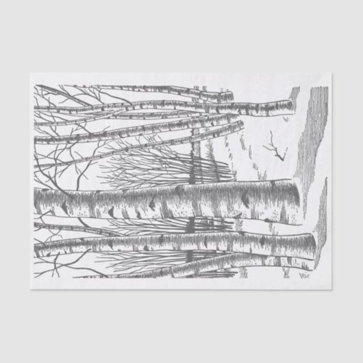 Papier Mousseline Birch Trees En Hiver (Recto)