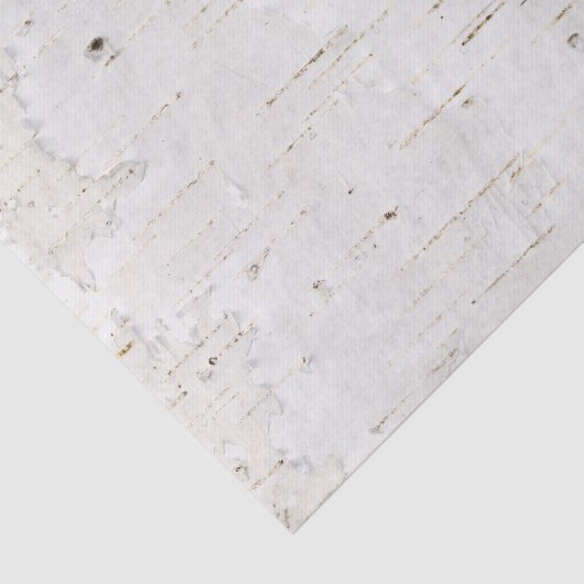 Papier Mousseline Birchbark (Détail)