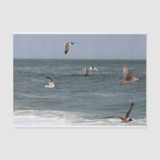 Papier Mousseline Birds in Flight by Shirley Taylor (Recto)