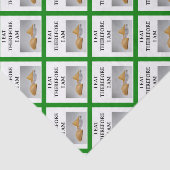 Papier Mousseline biscuit de fortune (Détail)