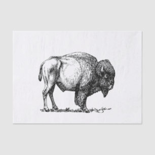 Papier Mousseline Bison américain de Buffalo