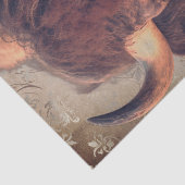 Papier Mousseline Bison Amérindien Buffalo (Détail)