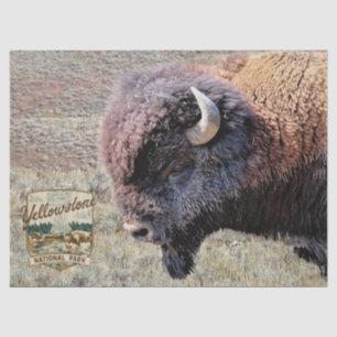Papier Mousseline Bison de Yellowstone avec logo du parc