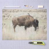 Papier Mousseline Bison de Yellowstone avec oiseau (Artisanat)