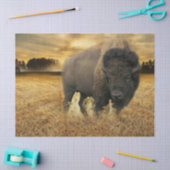 Papier Mousseline Bison Prairie (Artisanat)