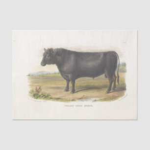 Papier Mousseline Black Bull Cow Ephemera Decoupage Ferme Vintage
