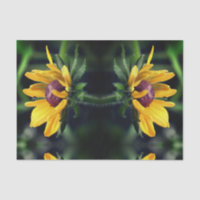 Black Eyed Susan dépliant la page de découpage Abs