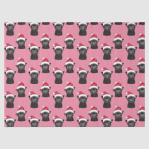 Papier Mousseline Black French Buldog Pink Tissu Paper