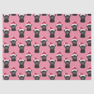 Papier Mousseline Black French Buldog Pink Tissu Paper