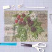 Papier Mousseline Blackberries Floral Garden Flower Papillon Art (Artisanat)