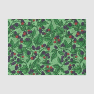 Papier Mousseline Blackberry en vert