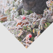 Papier Mousseline Blackbird d'hiver (Détail)