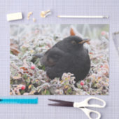 Papier Mousseline Blackbird d'hiver (Artisanat)