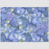 Papier Mousseline Bleu Hydrangée en fleurs (Recto)