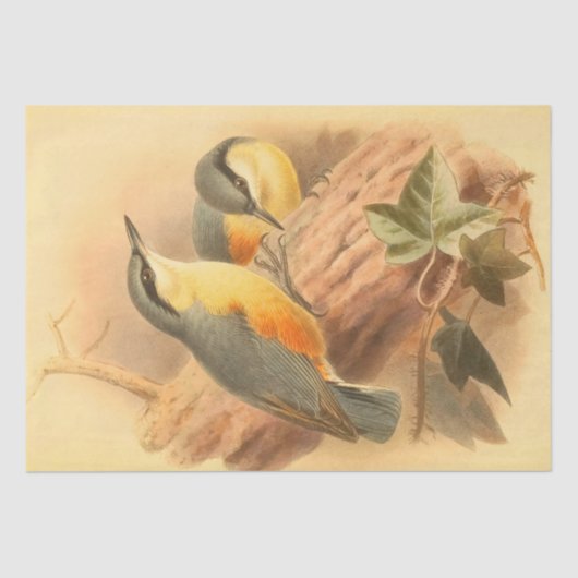 Papier Mousseline Bleu Oiseaux Beau Décopage Vintage (Recto)