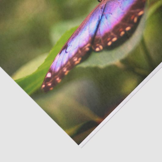 Papier Mousseline Bleu Papillon Nature Fermer Découpage (Détail)