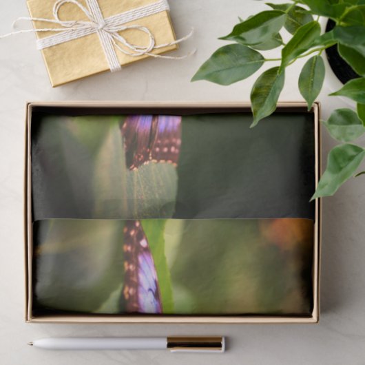 Papier Mousseline Bleu Papillon Nature Fermer Découpage (Cadeau)