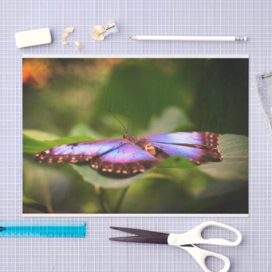 Papier Mousseline Bleu Papillon Nature Fermer Découpage (Artisanat)