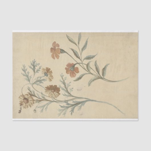 Papier Mousseline Bloemstudie van een Rode en een Bruine Bloem (Recto)