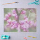 Papier Mousseline Blossoms Redbud (Artisanat)