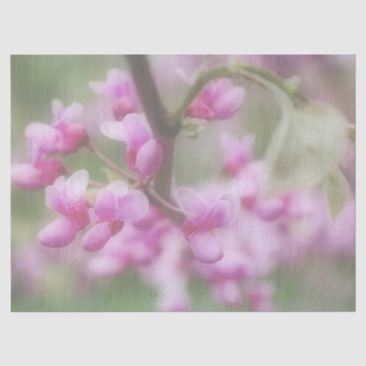 Papier Mousseline Blossoms Redbud (Recto)