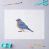 Papier Mousseline Bluebird (Artisanat)
