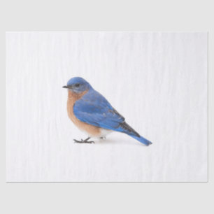 Papier Mousseline Bluebird