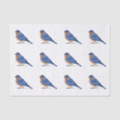 Papier Mousseline Bluebird (Recto)