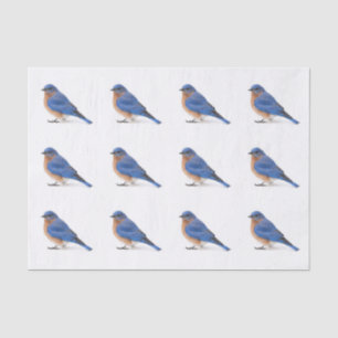 Papier Mousseline Bluebird